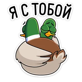 🤗 acb6f009 Я с тобой ducks, cute, emotions, support, cuddle, love telegram sticker