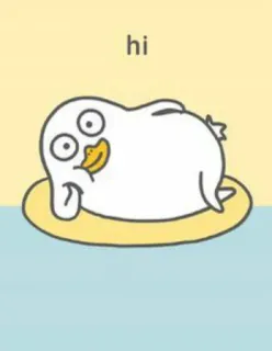 🐣 73331921 hi vịt, động vật, hoạt hình, dễ thương, lời chào, xin chào telegram sticker