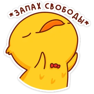 🤤 58fafea5 ЗАПАХ СВОБОДЫ duck, cute, freedom, sticker, yellow, cartoon telegram sticker