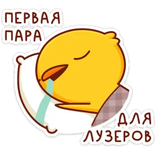 😴 9da22473 ПЕРВАЯ ПАРА ДЛЯ ЛУЗЕРОВ bird, sleepy, pillow, first class, for losers, cartoon telegram sticker