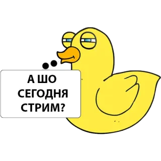 🙃 4bd52eaa А ШО СЕГОДНЯ СТРИМ? bebek, pertanyaan, streaming, rusia, kuning, kartun telegram sticker