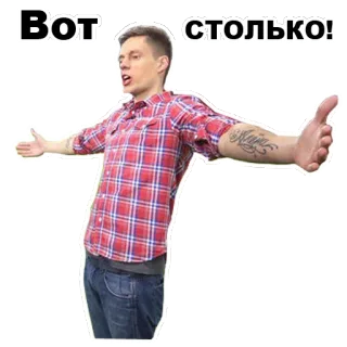 🤘 d981a2e1 Вот столько! 俄语, 语录, 手势, 人, 男人, 表情, 说话 telegram sticker
