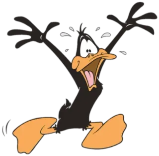 😱 9fd6a4c3 Daffy Duck Kreskówka, Kaczka, Animowany, Looney Tunes, Warner Bros telegram sticker