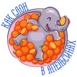 🤣 df1cb7f7 КАК СЛОН В АПЕЛЬСИНАХ 大象, 橙子, 卡通, 可爱, 搞笑, 动物 telegram sticker