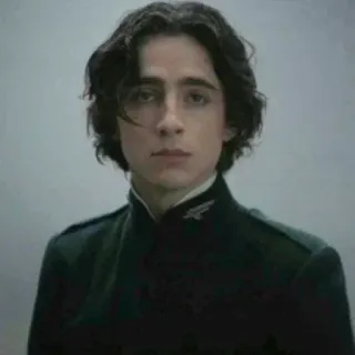 😐 0c47a654 Paul Atreides Dune timothée chalamet, dune, film, paul atreides, aktor telegram sticker