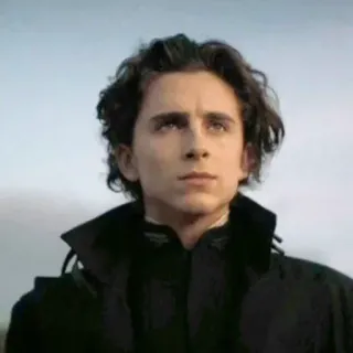 😐 75133060 Paul Atreides Dune Dune, Timothée Chalamet, Paul Atreides, Film, Fiksi ilmiah telegram sticker