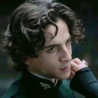 😐 7a901fea Paul Atreides Dune Timothée Chalamet, Dune, Paul Atreides, film, fiksi ilmiah, karakter telegram sticker