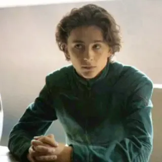 😐 b767f29e Paul Atreides Dune Timothée Chalamet, Dune, Paul Atreides, aktor, film telegram sticker