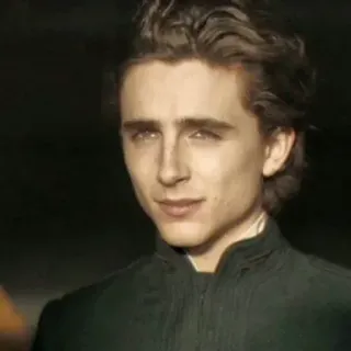 😐 fa3cb6b7 Paul Atreides Dune Timothée Chalamet, Dune, Paul Atreides, fiksi ilmiah, aktor telegram sticker