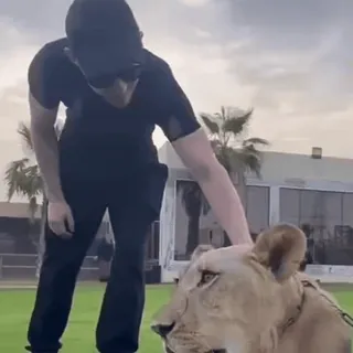 DUROVMEME whatsapp stickers