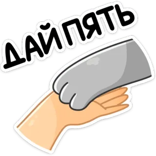 ✋ 844773d1 ДАЙПЯТЬ kot, ręka, łapa, powitanie, rosyjski, piątka telegram sticker