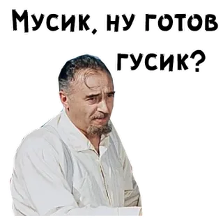 🤨 c1919922 Мусик, ну, готов - гусик? รัสเซีย, ทักทาย, คำถาม, อารมณ์ขัน telegram sticker