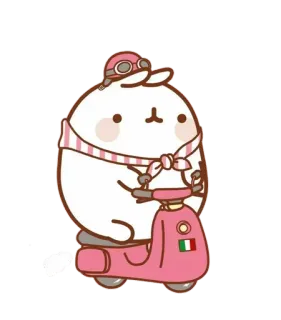 💘 4509d1cd Molang molang, piumiu, kawaii, schattig, konijn, konijn, cartoon, scooter, italiaans telegram sticker