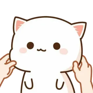 💘 be055e6f kat, schattig, sticker, dier, kawaii telegram sticker