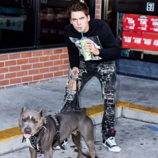 🍃 ab496916 남자, 개, 찢어진 청바지, 음료, 애완 동물, 패션 telegram sticker