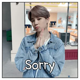 🙏 719f31f0 Sorry przeprosiny, przykro mi, przebaczenie, wyraz, emocje, błaganie telegram sticker