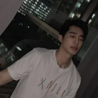 🐨 02b8bca5 XMLI telegram sticker