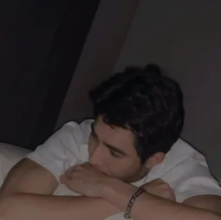 🐨 33e4a297 telegram sticker