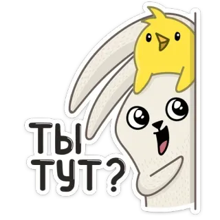 😌 024f2c0b Ты тут? conejo, conejito, pollito, lindo, pregunta, dibujos animados whatsapp sticker