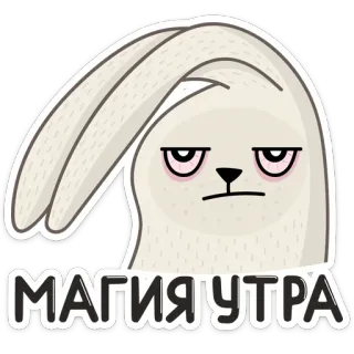 😠 e6e7bd9a МАГИЯ УТРА conejo, mañana, magia, cansado, pegatina, dibujos animados, conejito whatsapp sticker
