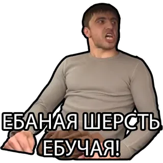 🐏 bc8b149f ЕБАНАЯ ШЕРСТЬ ЕБУЧАЯ! zły, mężczyzna, obraźliwy, rosyjski telegram sticker