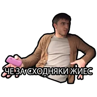 😑 db97a51a ЧЕ ЗА СХОДНЯКИ ЖИЕС telegram sticker
