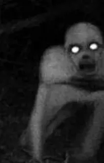 🔪 689888cc 诡异, 怪物, 恐怖, 可怕, 夜晚, 黑暗 telegram sticker