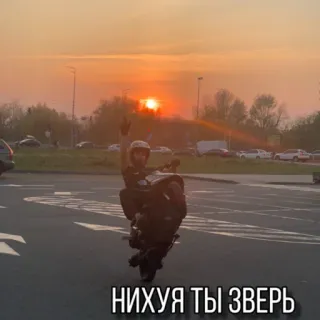 🦖 693eed03 НИХУЯ ТЫ ЗВЕРЬ moto, wheelie, rua, pôr do sol, manobra, moto whatsapp sticker