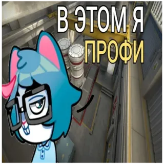 🎯 2955396f В ЭТОМ Я ПРОФИ мультик, кот, русский, текст, профи whatsapp sticker