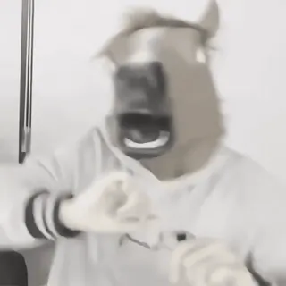 🔪 42344f46 Pferdemaske, Tiermaske, Lustig, Kostüm, Meme whatsapp sticker