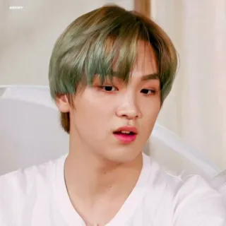 🔖 6e033a4e Haechan K-pop, Penyanyi, Idola, NCT, NCT 127, Haechan telegram sticker