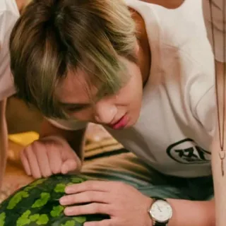 🔖 6f040642 ㅈㄴ orang, semangka, jam tangan, kaos telegram sticker