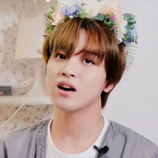 🔖 7e9d4af5 orang, mahkota bunga, pria, potret, dalam ruangan telegram sticker