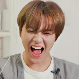 🔖 ace79e93 telegram sticker