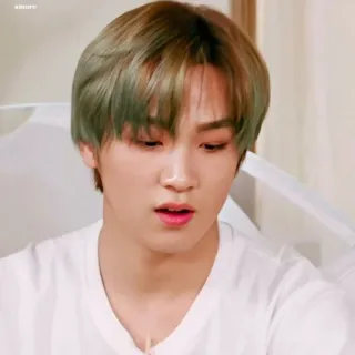 🔖 b33e9522 telegram sticker