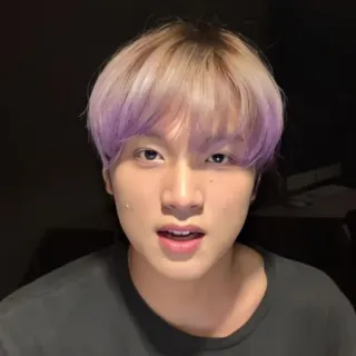 🔖 ca8d9300 orang, pria, laki-laki, potret, selfie telegram sticker