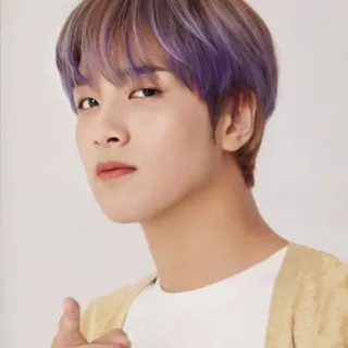 🔖 e2112bd8 K-pop, penyanyi, Korea, rambut ungu, idola, selebriti telegram sticker