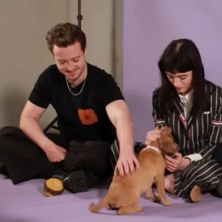 🐶 870e49ed dog, puppy, people, sitting, pet, animal telegram sticker