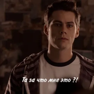 🦊 04063a44 Та за что мне это ?! telegram sticker