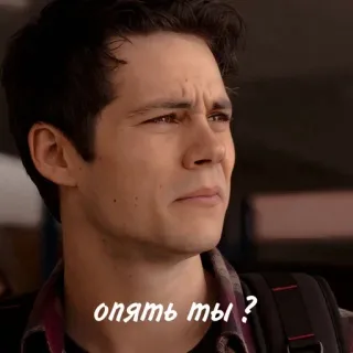 🦊 49f51145 опять ты ? telegram sticker