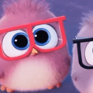 🎈 48883478 Vögel, Brillen, Cartoons, Tiere whatsapp sticker