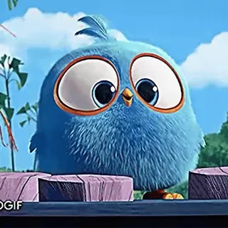 🎈 4b1df95f whatsapp sticker