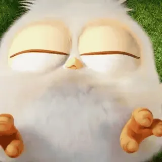 🎈 81a84439 Vogel, weißer Vogel, Cartoon, flauschig, Tier whatsapp sticker