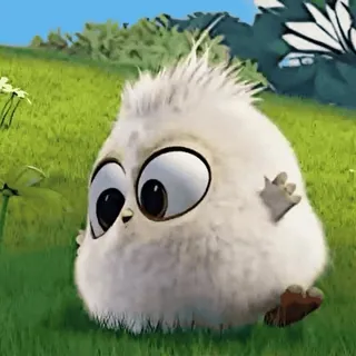 🎈 bbe01cc7 süß, Vogel, flauschig, Tier, Cartoon whatsapp sticker