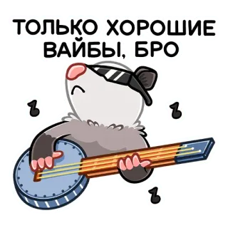 🎸 31480f9f ТОЛЬКО ХОРОШИЕ ВАЙБЫ, БРО opossum, banjo, musik, sonnenbrille, cool, vibes, chillig, süß telegram sticker