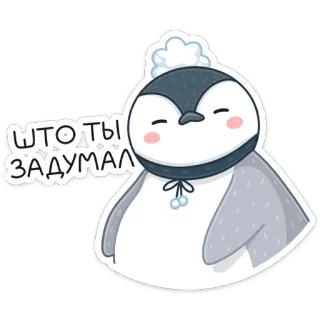 🤨 384b6af1 Што ты задумал penguin, cute, russian, winter, animal whatsapp sticker