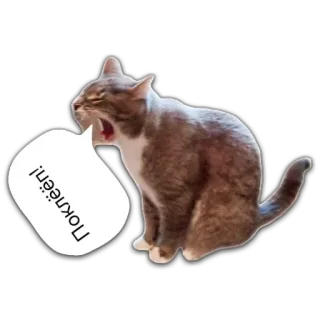 🤥 11ef26d9 Поклёп! gatto, animale, russo, testo, adesivo, sbadiglio whatsapp sticker