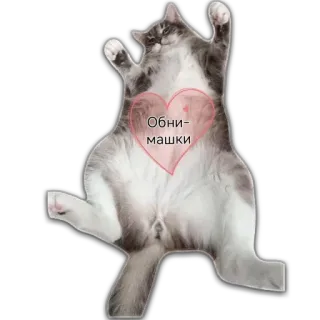 ❤ 4aefb87d Обнимашки gatto, cuore, carino, abbraccio, animale domestico, animale whatsapp sticker