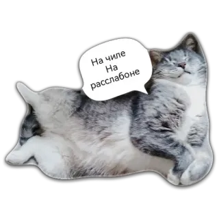 😌 b3c5fc29 На чиле На расслабоне gatto, relax, rilassarsi, carino, animale whatsapp sticker