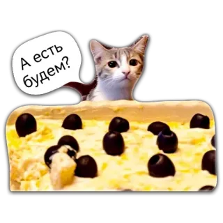 🍽 fe328e39 А есть будем? gatto, pizza, cibo, olive, domanda, animale whatsapp sticker
